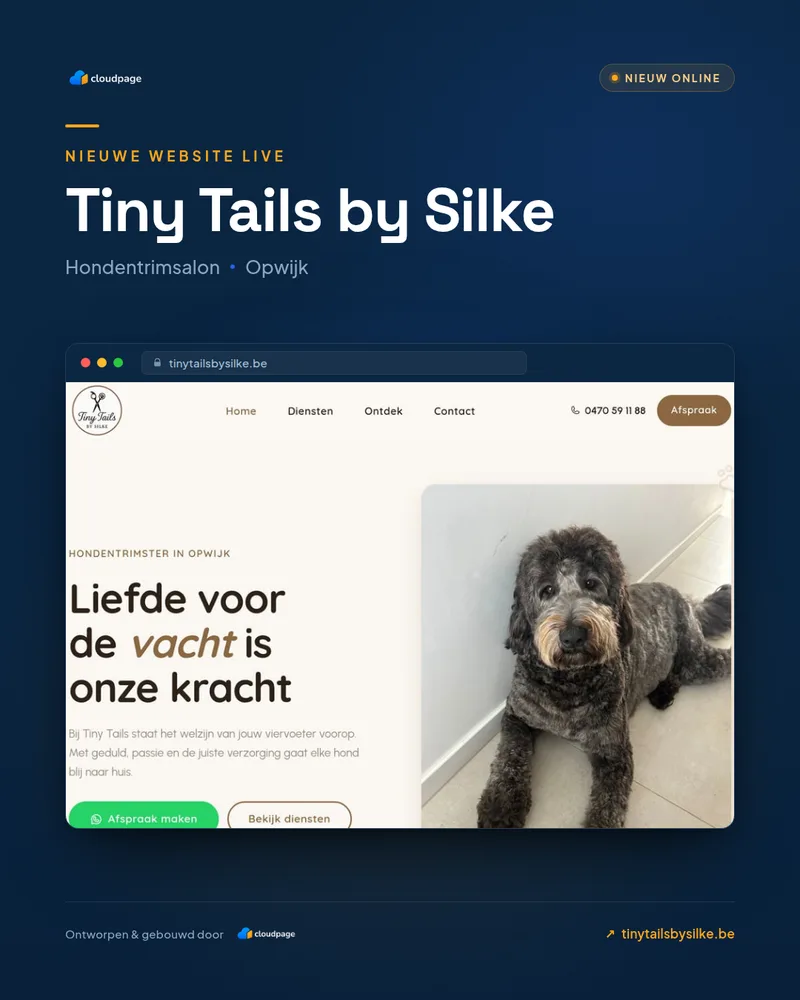 Post van Cloudpage over de lancering van de website van Tiny Tails